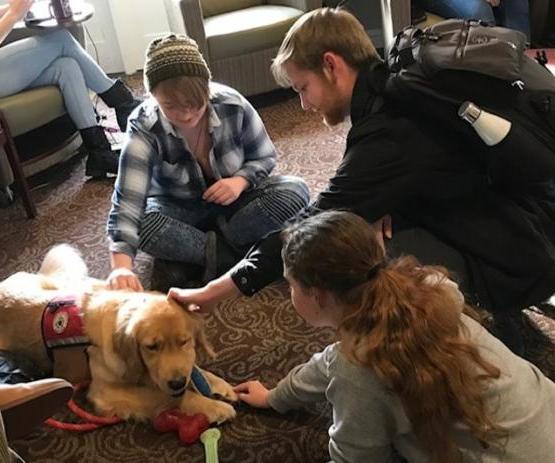 Students pet Chilly the 的rapy Dog